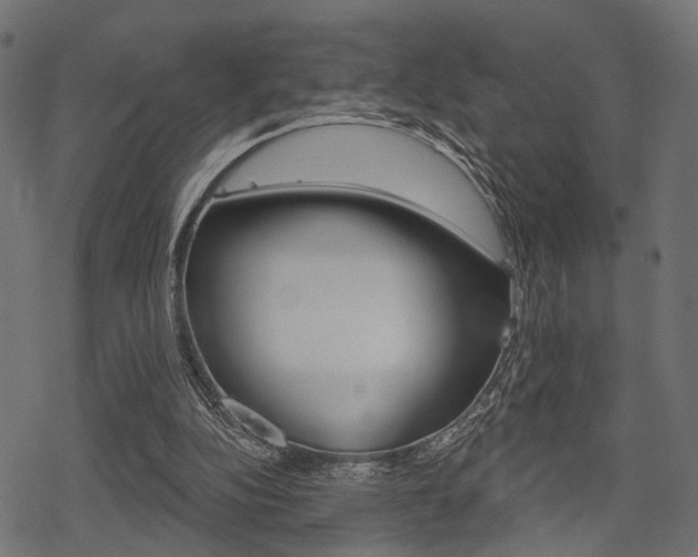 X0000078290152200611031001