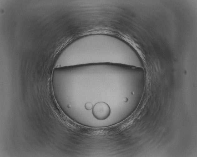 X0000078290153200611031001