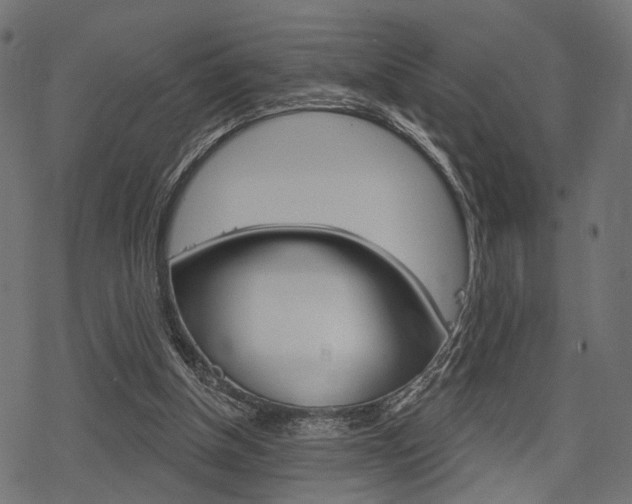 X0000078290154200611031001