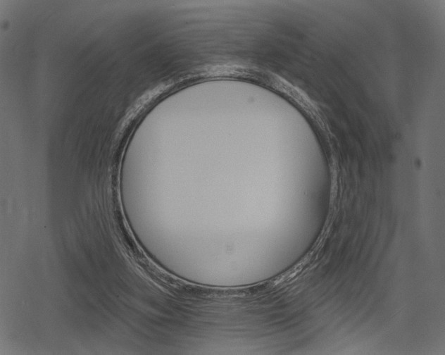 X0000078290155200611031001