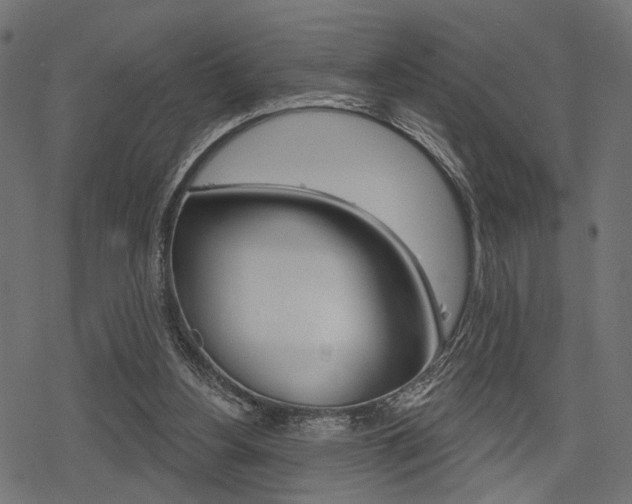 X0000078290156200611031001