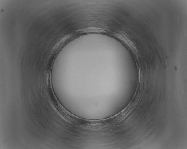 X0000078290157200611031001