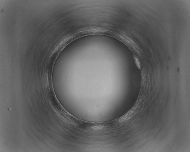 X0000078290158200611031001