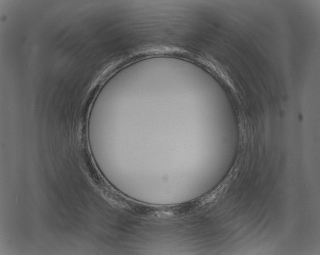 X0000078290159200611031001