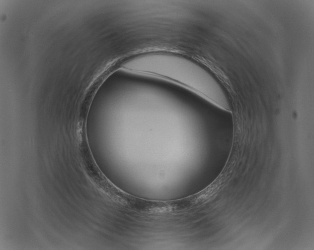 X0000078290160200611031001