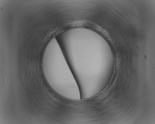 X0000078290161200611031001