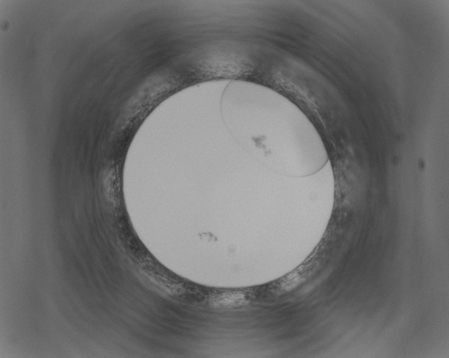 X0000078290162200611031001