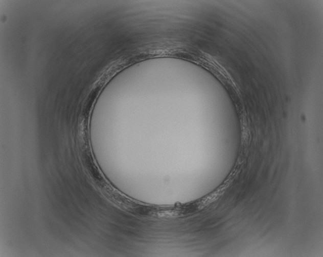 X0000078290163200611031001