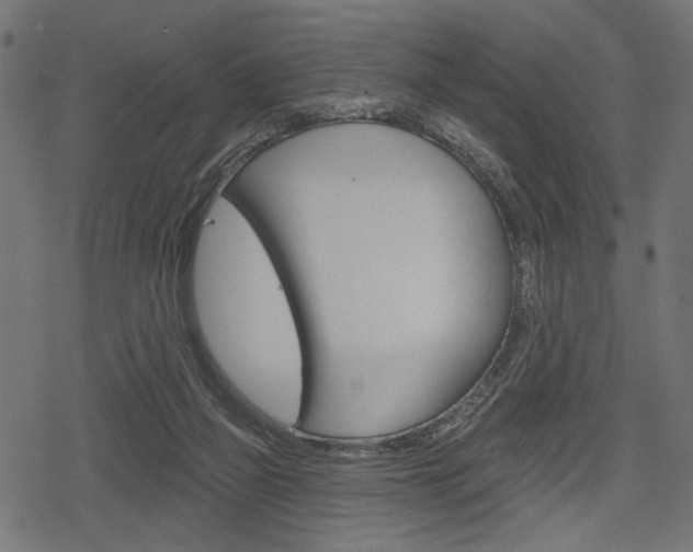 X0000078290165200611031001