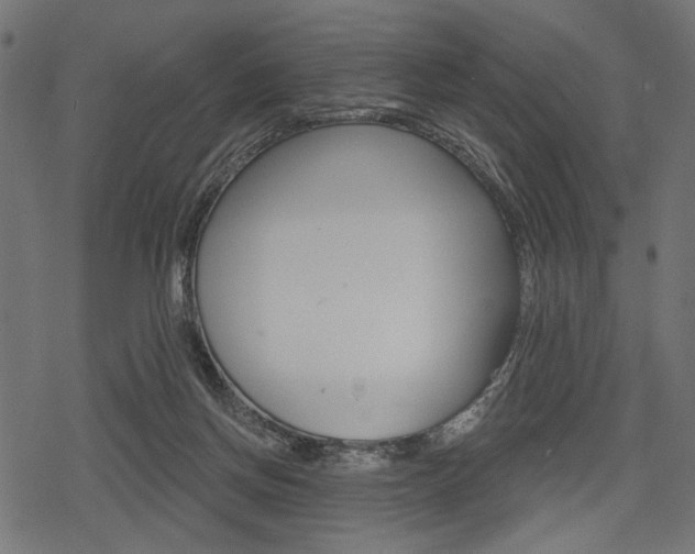 X0000078290166200611031001