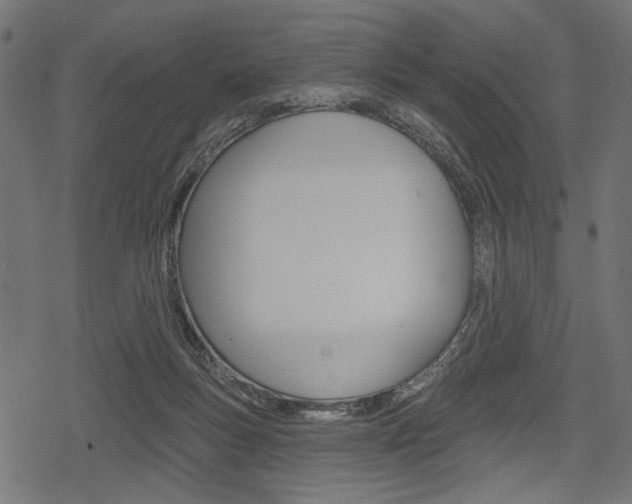 X0000078290167200611031001