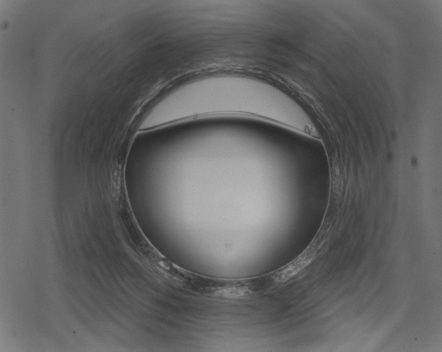 X0000078290168200611031001