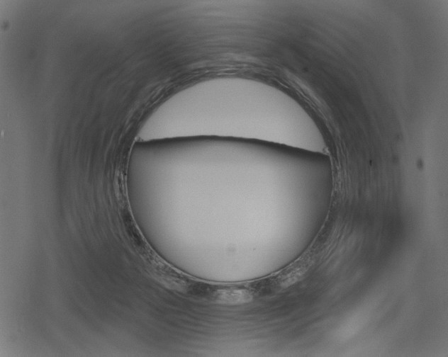 X0000078290169200611031001