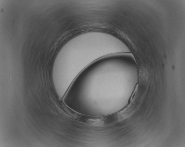 X0000078290170200611031001