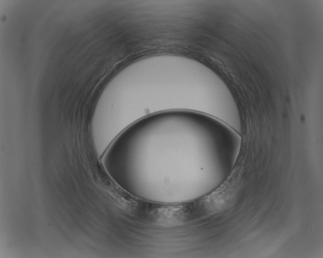 X0000078290172200611031001