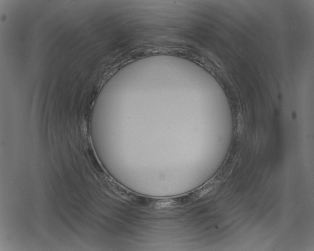 X0000078290173200611031001