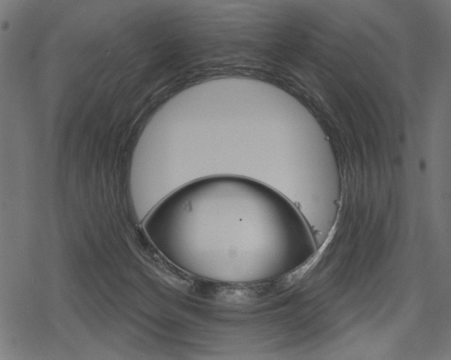 X0000078290174200611031001