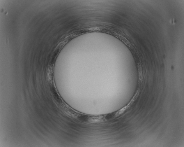 X0000078290175200611031001