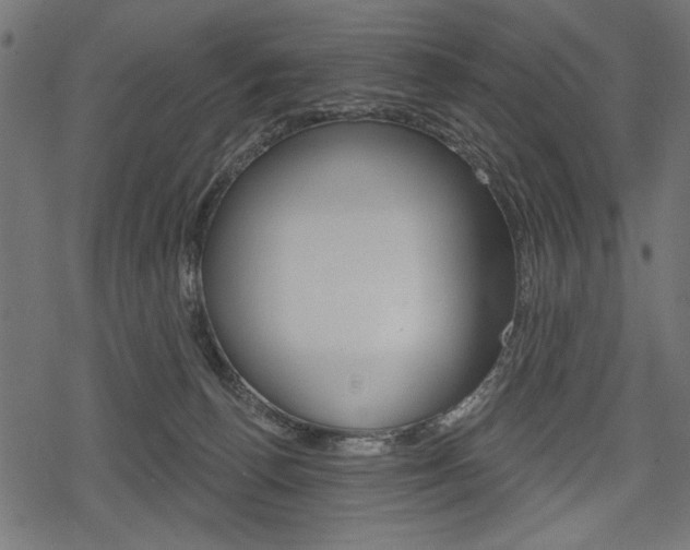 X0000078290176200611031001