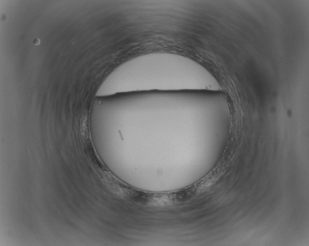 X0000078290177200611031001