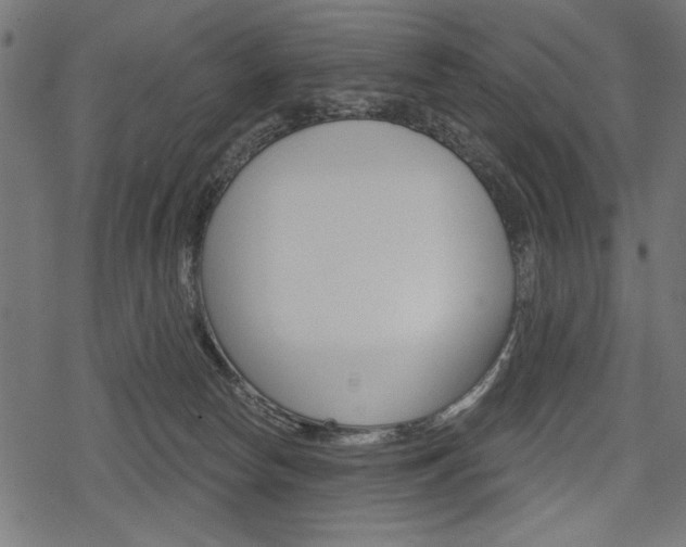 X0000078290178200611031001