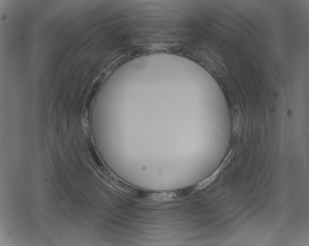 X0000078290179200611031001