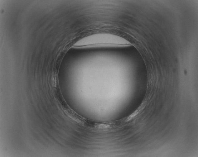 X0000078290180200611031001