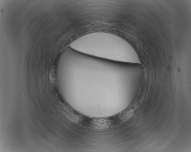 X0000078290181200611031001