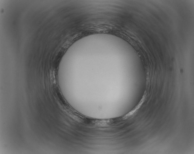 X0000078290182200611031001