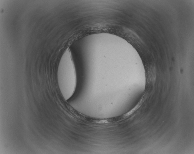 X0000078290183200611031001