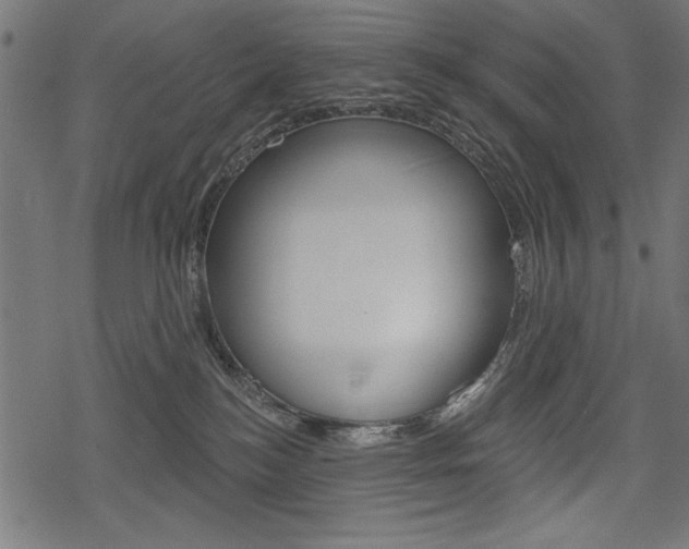 X0000078290184200611031001