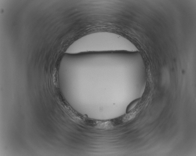 X0000078290185200611031001