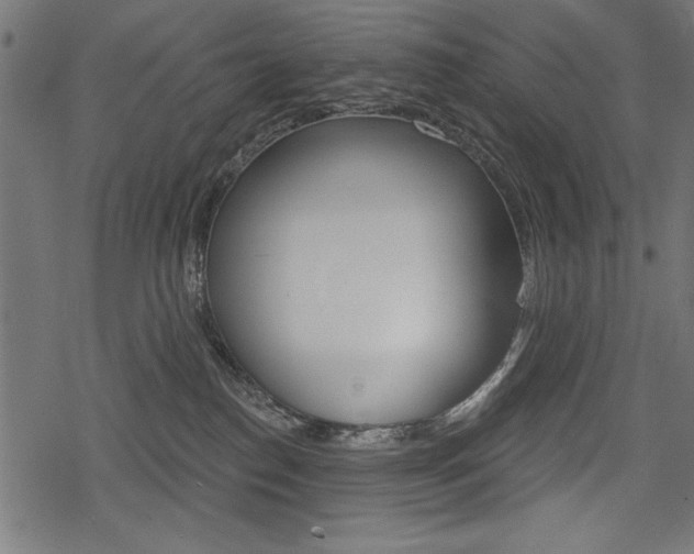 X0000078290186200611031001