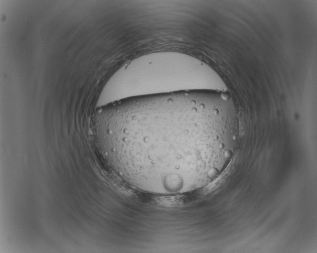 X0000078290187200611031001