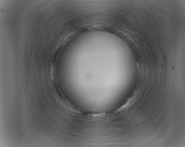 X0000078290188200611031001