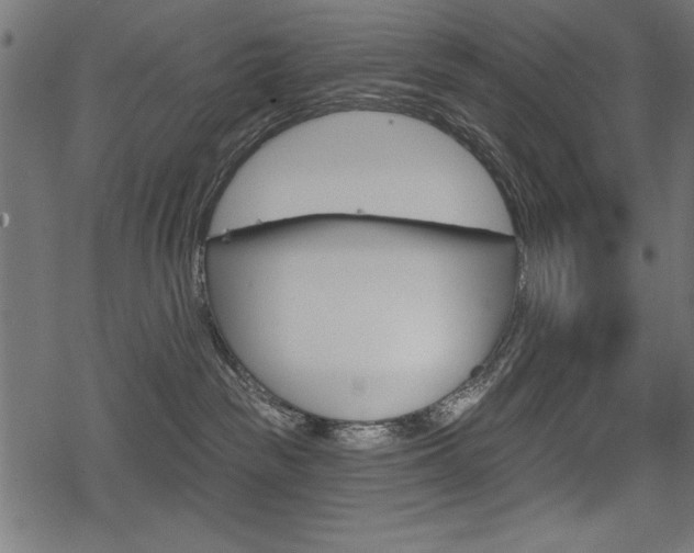 X0000078290189200611031001