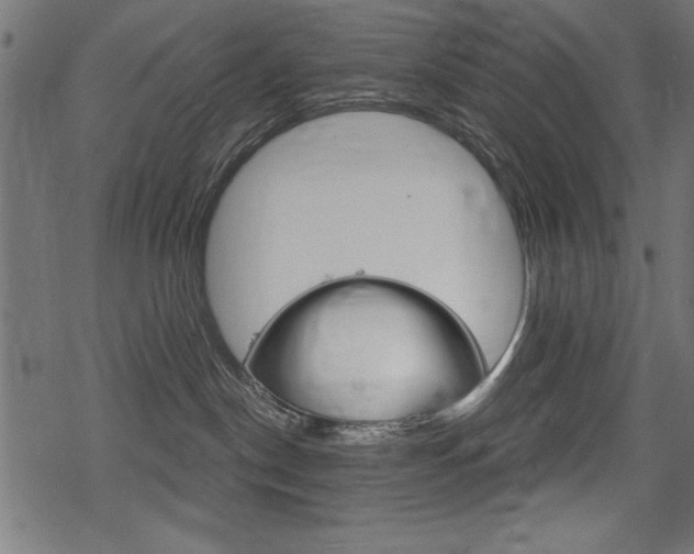 X0000078290190200611031001