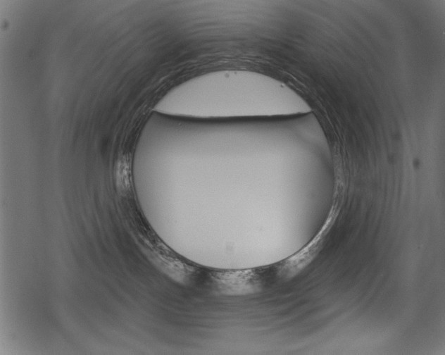 X0000078290191200611031001