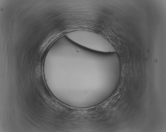 X0000078290194200611031000