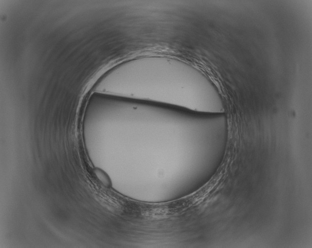 X0000078290196200611031000