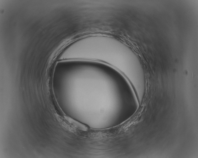 X0000078290197200611031000