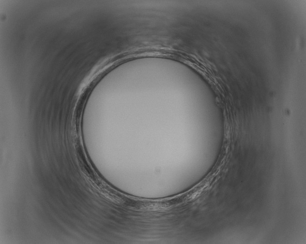 X0000078290198200611031000