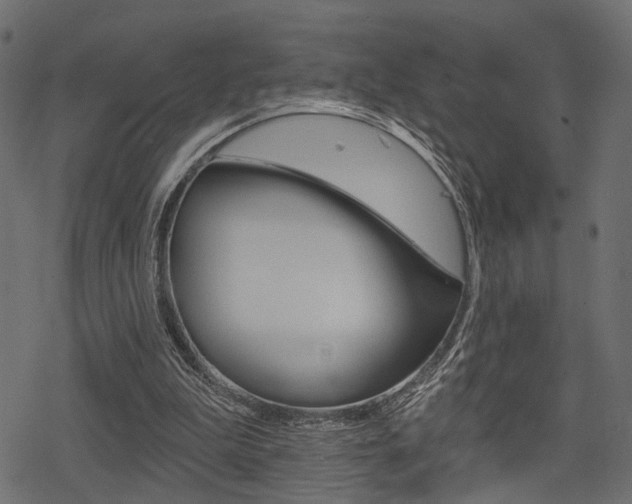 X0000078290199200611031000