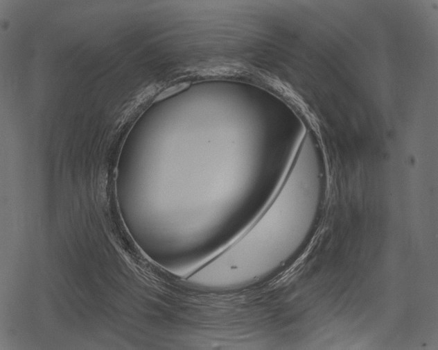 X0000078290201200611031000