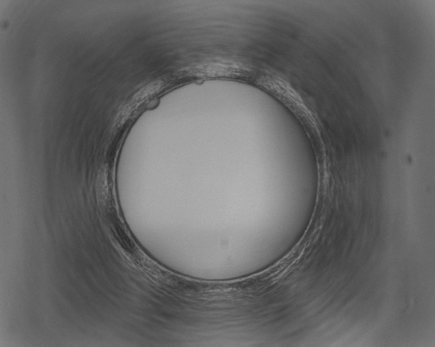 X0000078290202200611031000