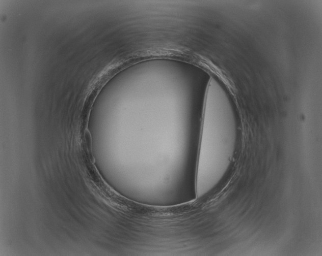 X0000078290203200611031000