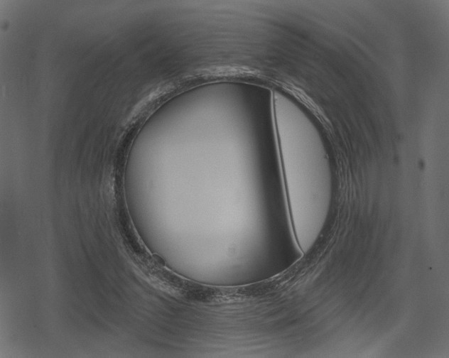 X0000078290207200611031000