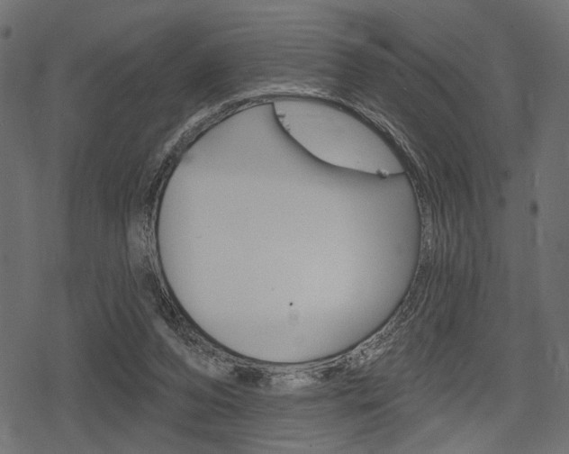 X0000078290208200611031000