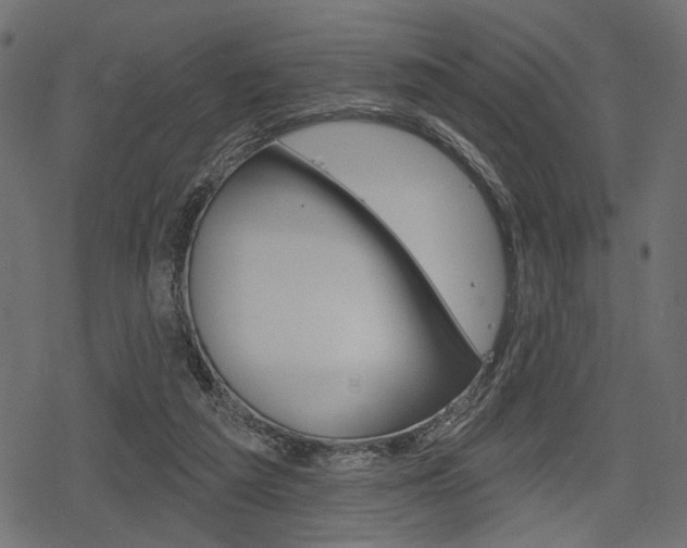 X0000078290209200611031000