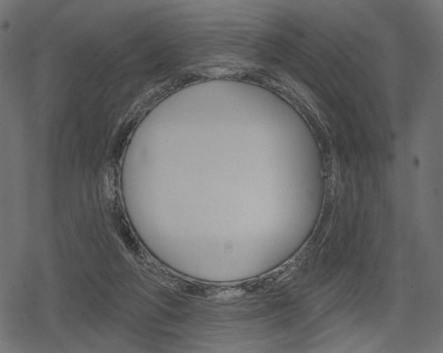 X0000078290210200611031000